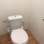 superflo-toilets-review-2